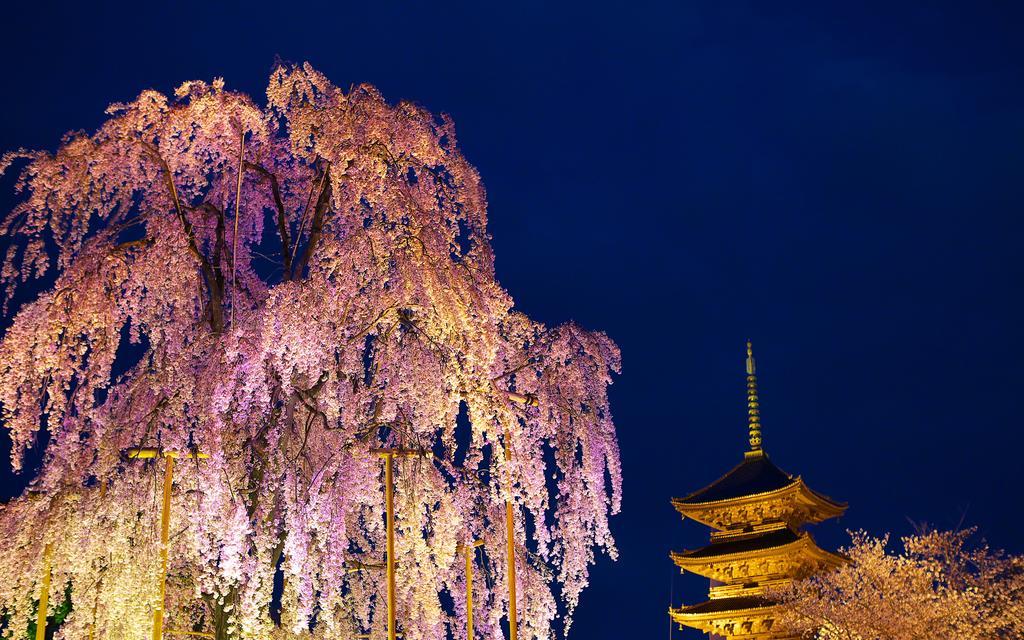 Miyanoan Villa Kyoto Exterior photo